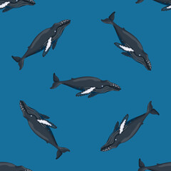 Seamless pattern Humpback whale on blue background. Template of cartoon character of ocean for children.