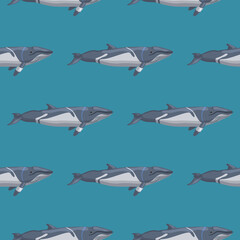 Seamless pattern lesser rorqual on blue background. Template of cartoon character of ocean for fabric.