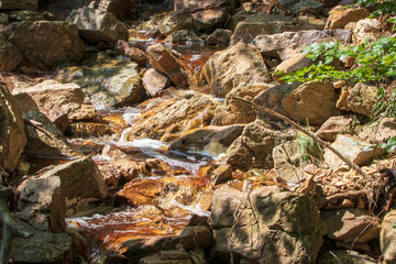 Un ruisseau dans les rochers