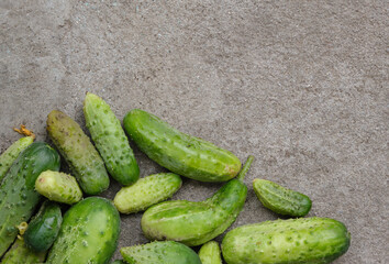 organic cucumbers on gray concrete background