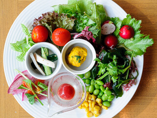 フレッシュ野菜とアペタイザーの盛り合わせプレート