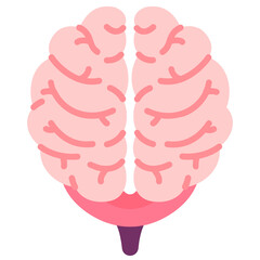 Brain
