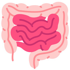 Intestine