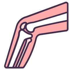 Obraz premium Knee Joint