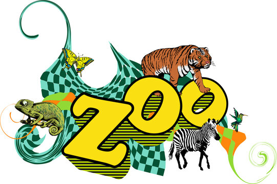 Drawn lettering zoo and zebra, tiger and chameleon on a white background