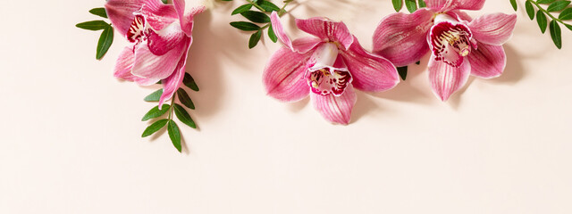 Minimal nature Floral background with orchids. Tropical pink phalaenopsis orchids on a light pastel background. Top view flat lay. Banner.
