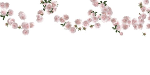 light pink flowers stock image