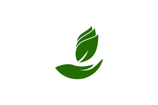 Vector hand and three leaves for protection logo