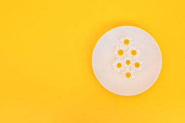 White chamomiles in a saucer on a yellow background. The spring-summer concept. Top view, place to copy