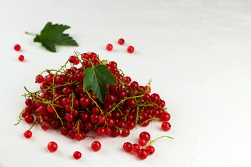 Fresh red currant on white background with copy space