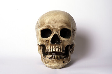 Cráneo humano calavera de Halloween de forma frontal sobre fondo blanco