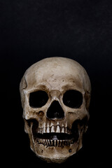 Calavera o cráneo humano de Halloween sobre fondo negro