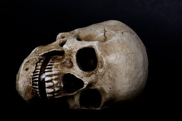 Calavera o cráneo humano de Halloween sobre fondo negro