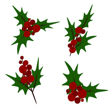 Set of Christmas holly leaves.  decorative elements with holly. Vector illustration on  a white isolated background.