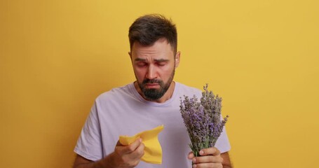 Seasonal allergy concept. Unhappy sick man sneezes uses handkerchief to blow nose allergic to lavender has itchy red eyes isolated over yellow background. Respone of immune system. Hay fever symptoms