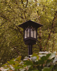 lantern in the park
