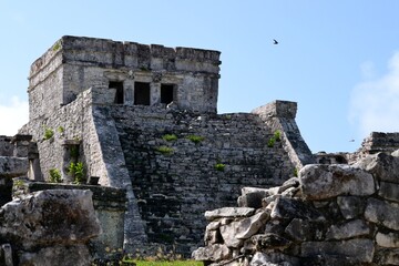 Remnants of Mayan architecture
