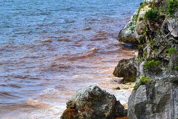 rocks on the beach
