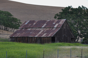 Obraz premium Old Barn with golden hills