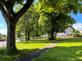 Fototapeta na wymiar Green space, with old trees, and lawns on, Waterloo Road, Pudsey, Leeds, UK