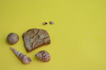 Naklejka premium A brown stone with shells on a yellow background. Space for text