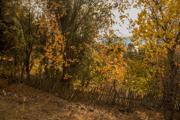 Naklejka premium Autumn in Antalya Bey Mountains