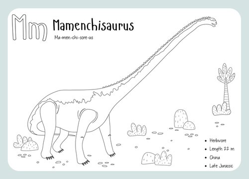 Coloring cards with dinosaurs and alphabet. Dinosaur Fact Cards. Dinosaur Names Corresponding to the English Alphabet. Cute colorful vector illustration. Herbivore set. Dinosaur vegan. Mamenchisaurus