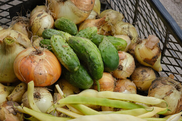 Organic vegetables on basket. Fresh vegetable. Close up of organic cucumbers, yellow beans and onions. Vegetable background