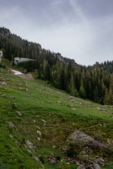 Schynige Platte, Bernese Oberland, Switzerland - Aerial Panorama View with Swiss Alps Eiger, Mönch...
