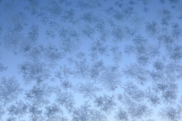 Close up snowflakes