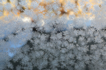 Close up snowflakes