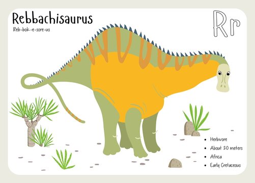 Dinosaur Fact Flash Cards - Dinosaur Names Corresponding to the English Alphabet. Cute colorful vector illustration. Herbivore set. Dinosaur vegan. Set cards a-z dinosaur R. Rebbachisaurus