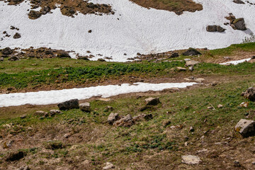 Schynige Platte, Bernese Oberland, Switzerland - Grass, Rocks and Snow - Swiss Alps