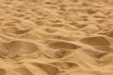 Sand on the beach for background. Close-up.