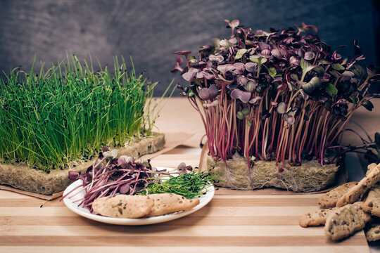 Organic Sango radish cress and leek