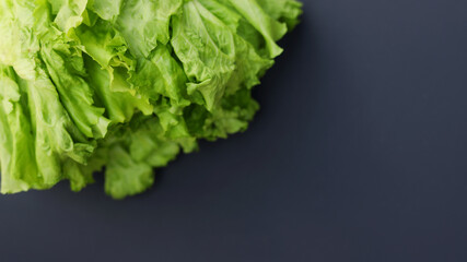 Lettuce leaves on dark background