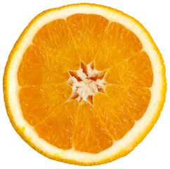 Fresh colored orange slice isolated