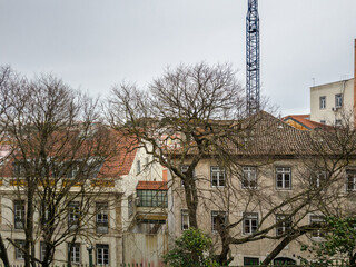 Obraz premium Imposing architectural facades under trees with dry branches in a European winter setting. Image with selective focus.