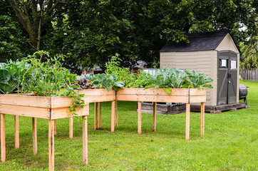 Accessible community garden beds