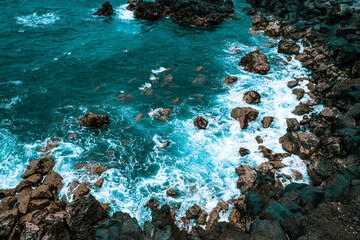 coral reef in the sea