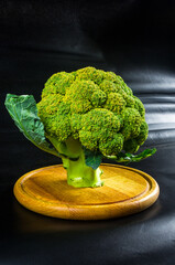 Fantasy mini landscape - tree made with broccoli on a black background, simulating a miniature...