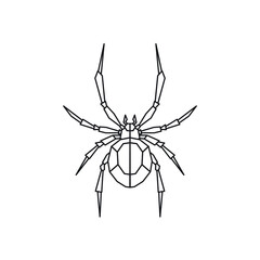 Spider Geometric Drawing Tattoo. Blackwork.