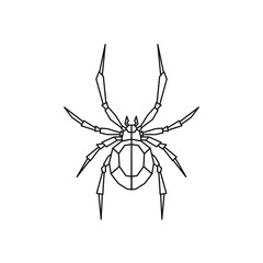 Spider Geometric Drawing Tattoo. Blackwork.
