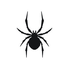 Spider Geometric Drawing Tattoo. Blackwork.