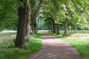 Park in worms city. Bright and shiny day, Germany
