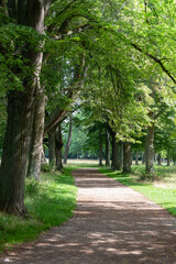 Park in worms city. Bright and shiny day, Germany