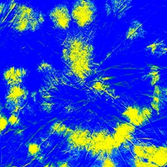Psychedelic Color. Multicolor Shibori Dyeing. Tie