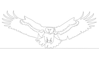 Self drawing animation of continuous one single line drawing of silhouette of a bird eagle.