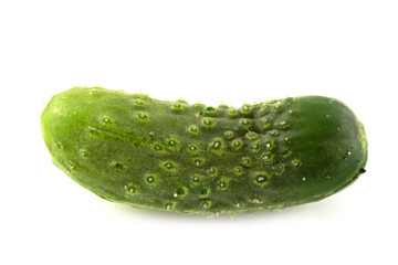 Isolated cucumber. One bended curved cucumber on white background with clipping path.