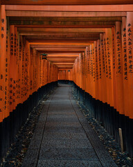 dark passage through torii gates at a japanese temple